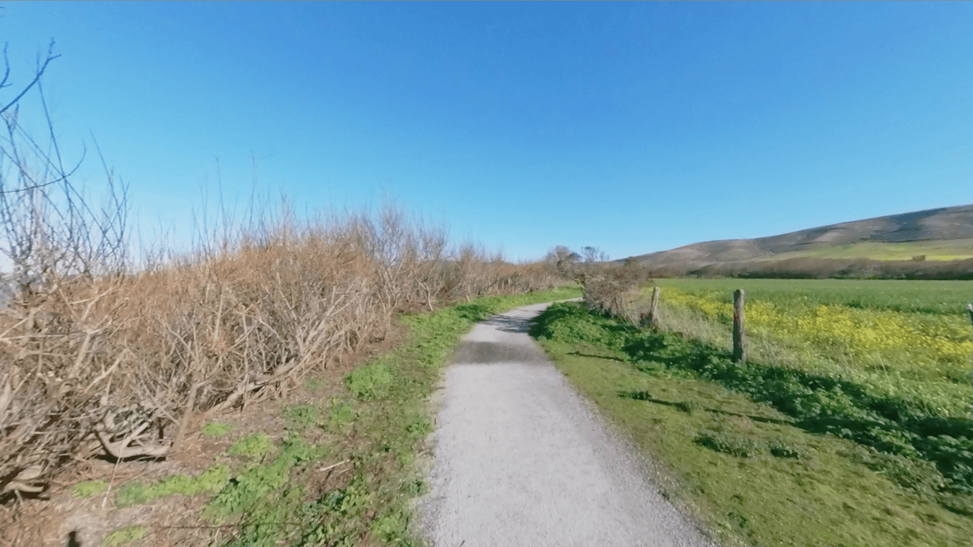 trail background image