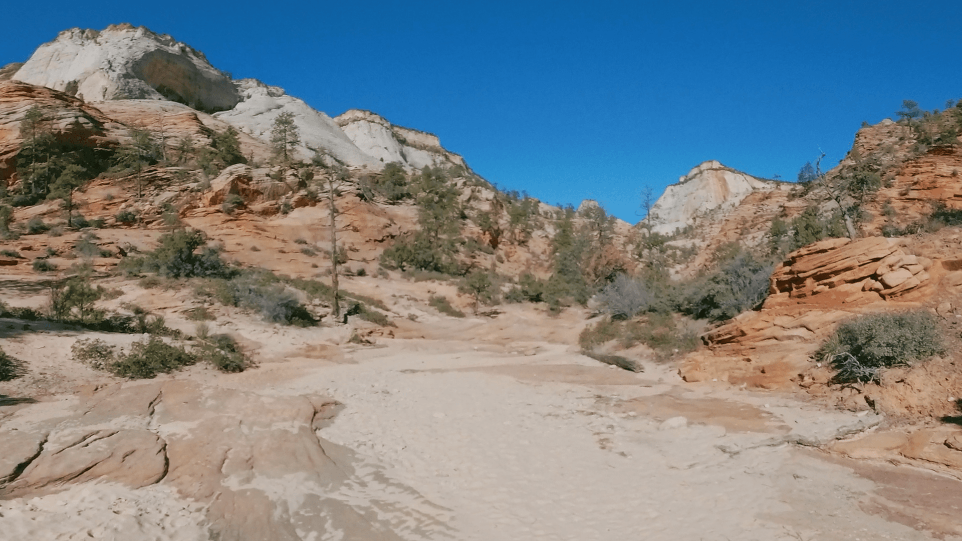 trail background image