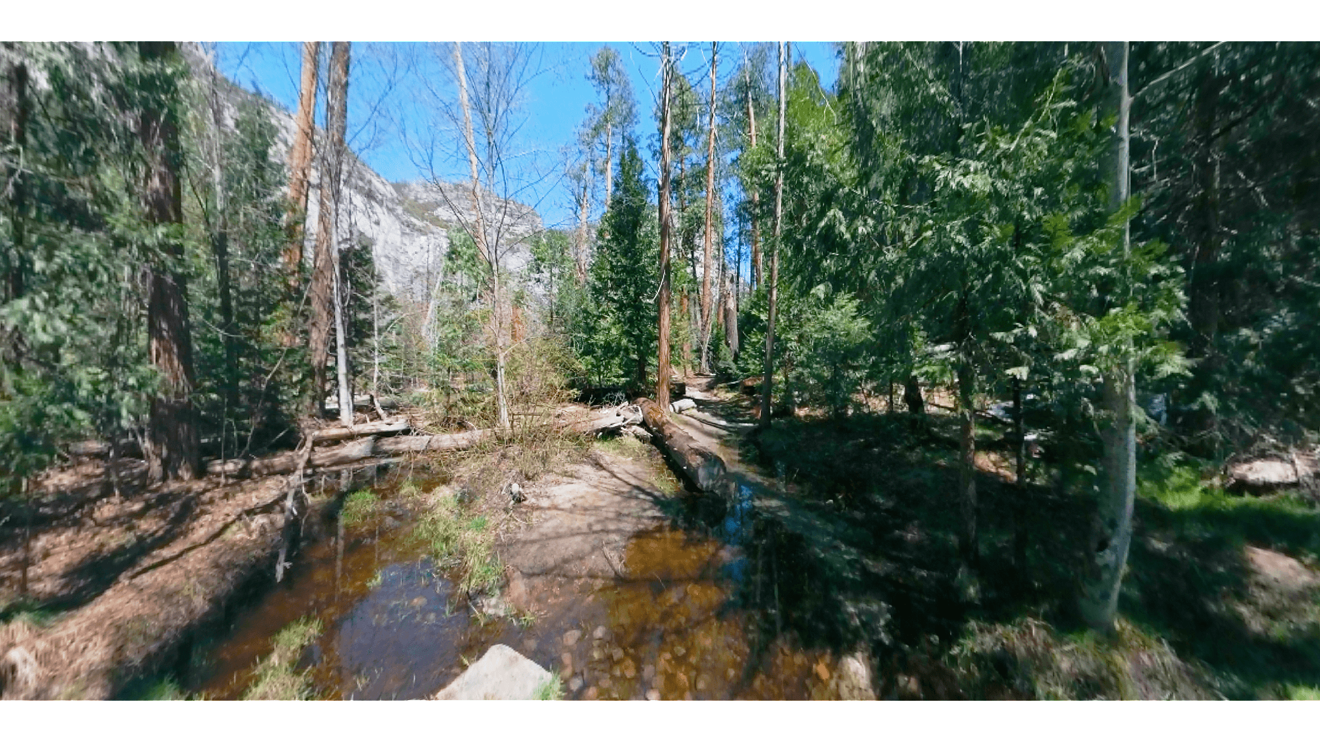 trail background image