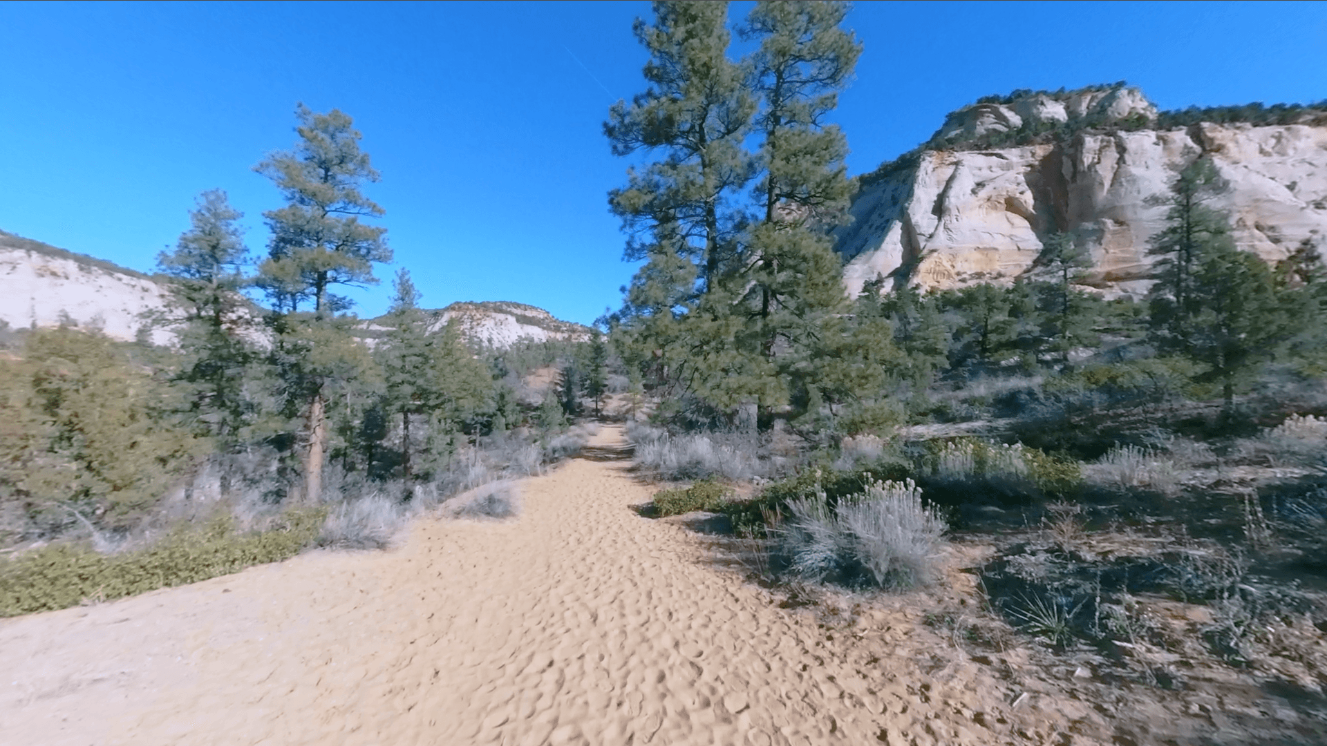 trail background image